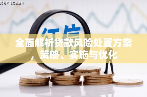 眉县全面解析贷款风险处置方案，策略、实施与优化