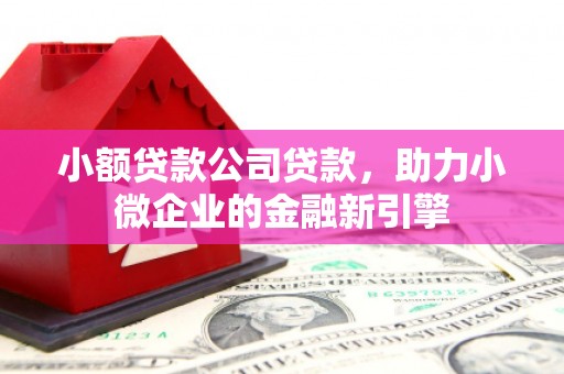 眉县小额贷款公司贷款，助力小微企业的金融新引擎