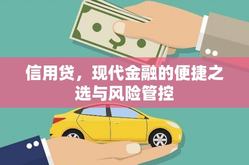 眉县信用贷，现代金融的便捷之选与风险管控