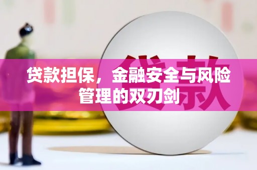 眉县贷款担保，金融安全与风险管理的双刃剑