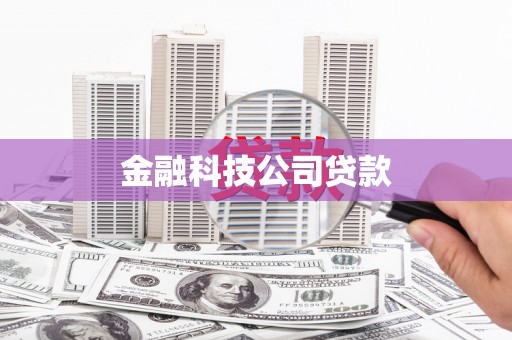 眉县金融科技公司贷款
