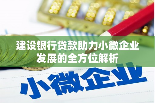 眉县建设银行贷款助力小微企业发展的全方位解析