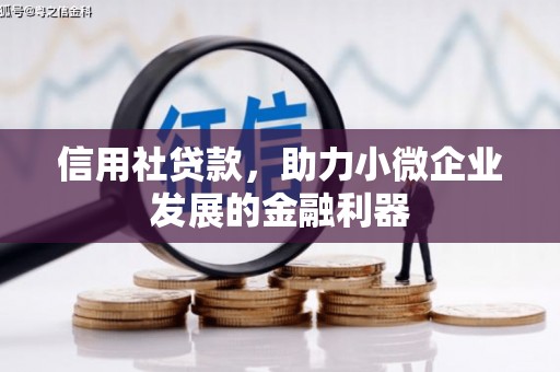 眉县信用社贷款，助力小微企业发展的金融利器