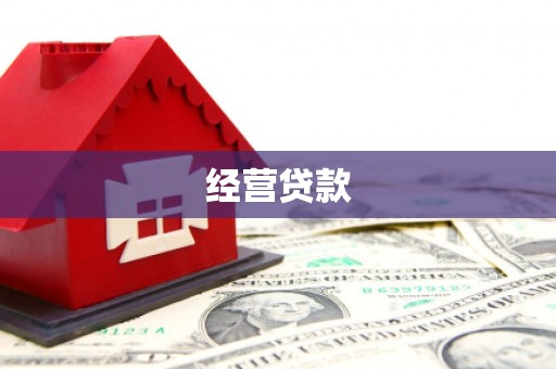 眉县经营贷款