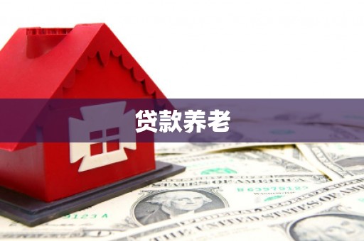 眉县贷款养老