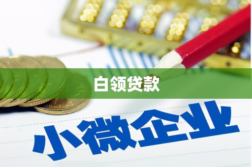 眉县白领贷款