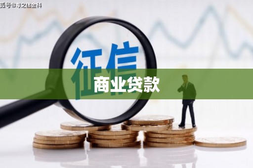 眉县商业贷款