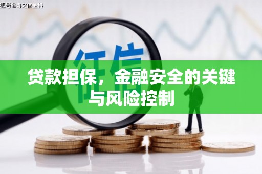 眉县贷款担保，金融安全的关键与风险控制